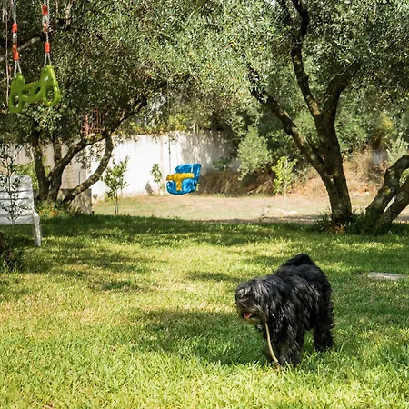 Koxyli Village & *